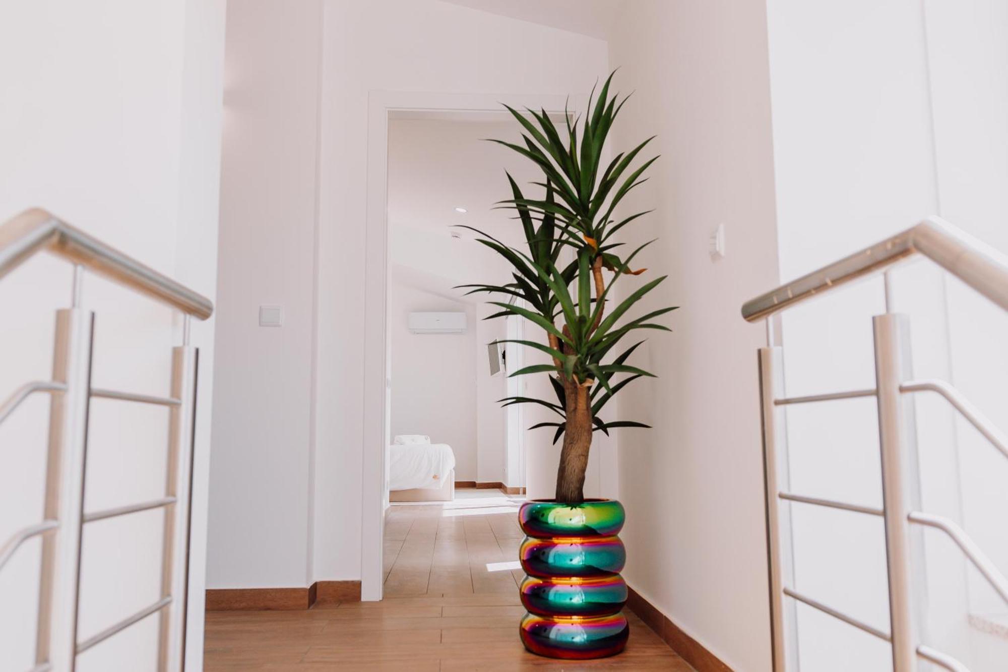 グアルダ Quinta Dos Sincais Bed & Breakfast エクステリア 写真